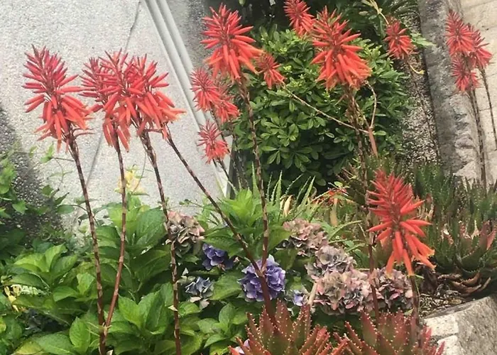 New On Playa Silgar, 2 Bedrooms, 2 Bathrooms, Garage Sanxenxo